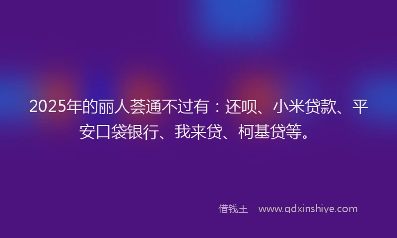 2025年的丽人荟通不过有：还呗、小米贷款、平安口袋银行、我来贷、柯基贷等。