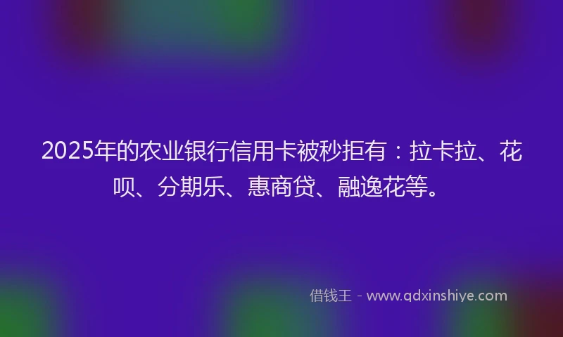 2025年的农业银行信用卡被秒拒有：拉卡拉、花呗、分期乐、惠商贷、融逸花等。