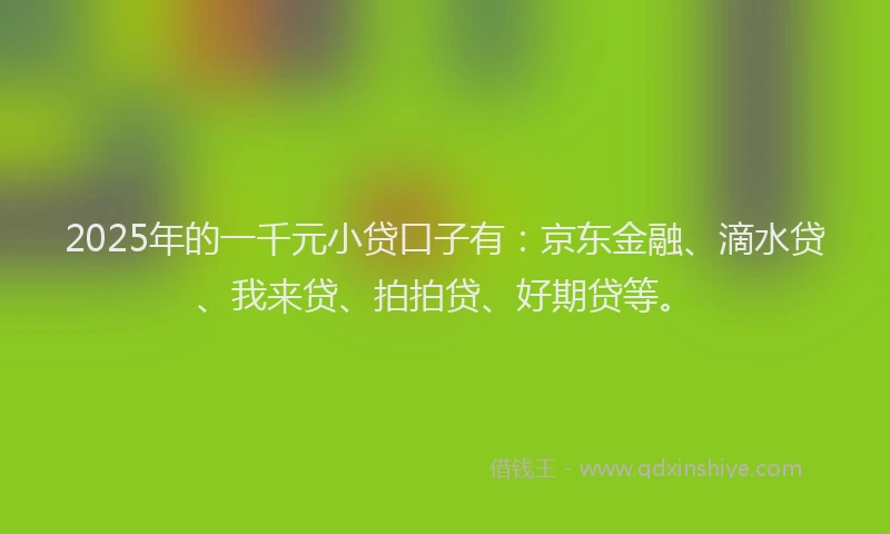 2025年的一千元小贷口子有：京东金融、滴水贷、我来贷、拍拍贷、好期贷等。
