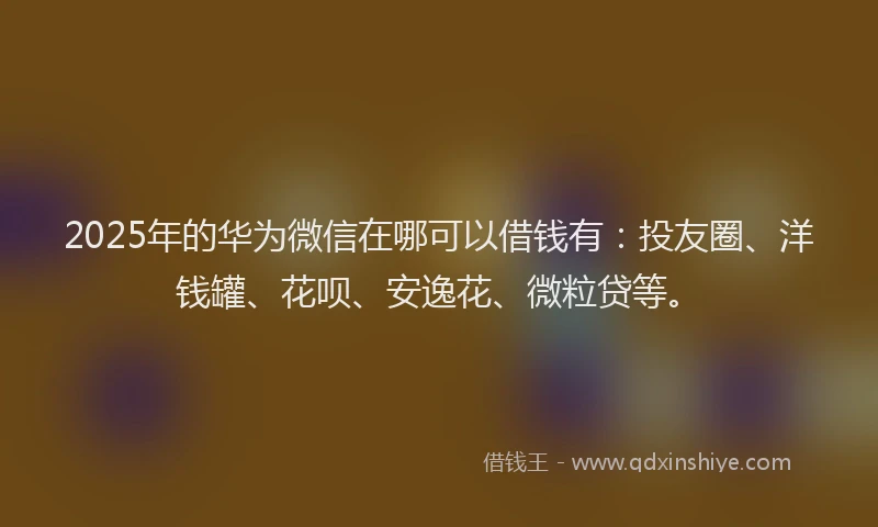2025年的华为微信在哪可以借钱有：投友圈、洋钱罐、花呗、安逸花、微粒贷等。