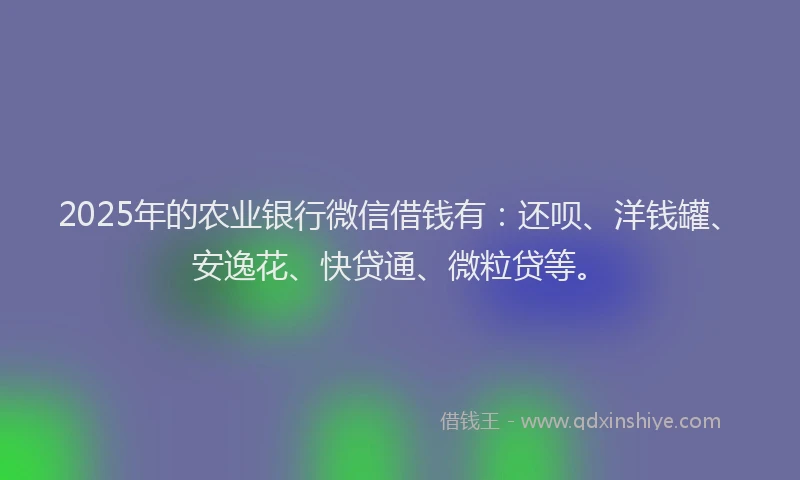 2025年的农业银行微信借钱有：还呗、洋钱罐、安逸花、快贷通、微粒贷等。