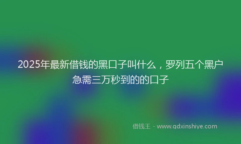 2025年最新借钱的黑口子叫什么，罗列五个黑户急需三万秒到的的口子