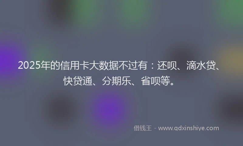 2025年的信用卡大数据不过有：还呗、滴水贷、快贷通、分期乐、省呗等。