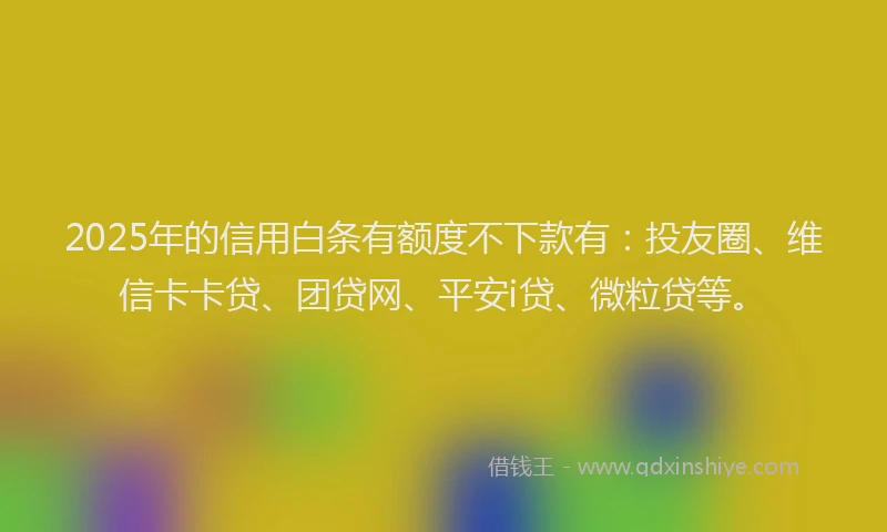 2025年的信用白条有额度不下款有：投友圈、维信卡卡贷、团贷网、平安i贷、微粒贷等。