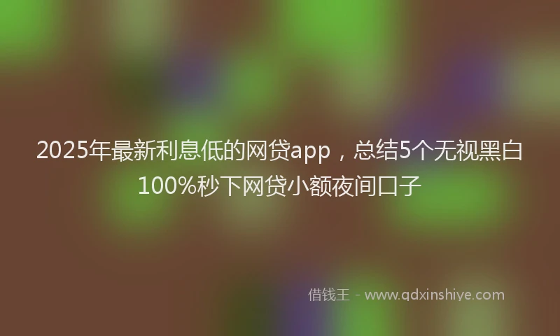 2025年最新利息低的网贷app，总结5个无视黑白100%秒下网贷小额夜间口子
