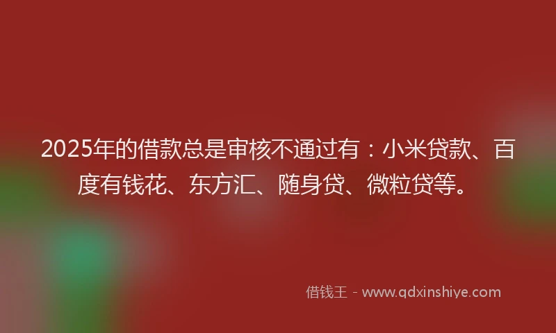 2025年的借款总是审核不通过有：小米贷款、百度有钱花、东方汇、随身贷、微粒贷等。