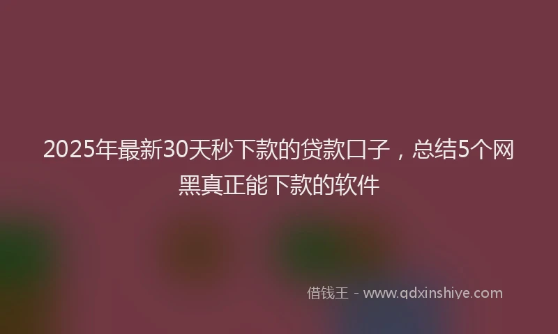 2025年最新30天秒下款的贷款口子，总结5个网黑真正能下款的软件