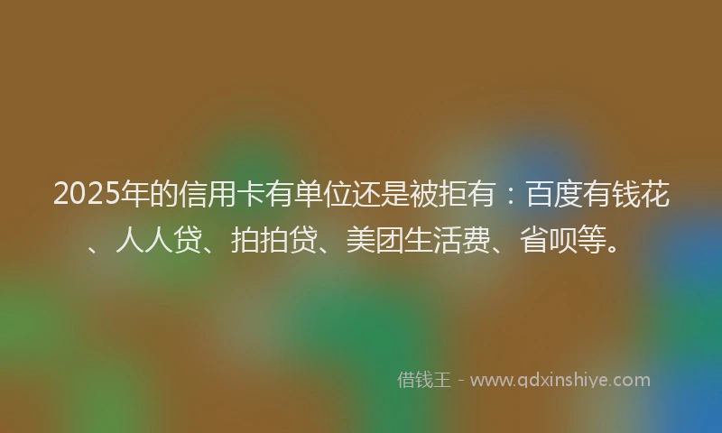 2025年的信用卡有单位还是被拒有:百度有钱花、人人贷、拍拍贷、美团生活费、省呗等。