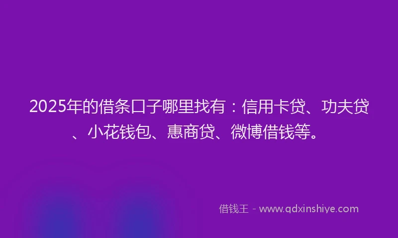 2025年的借条口子哪里找有：信用卡贷、功夫贷、小花钱包、惠商贷、微博借钱等。