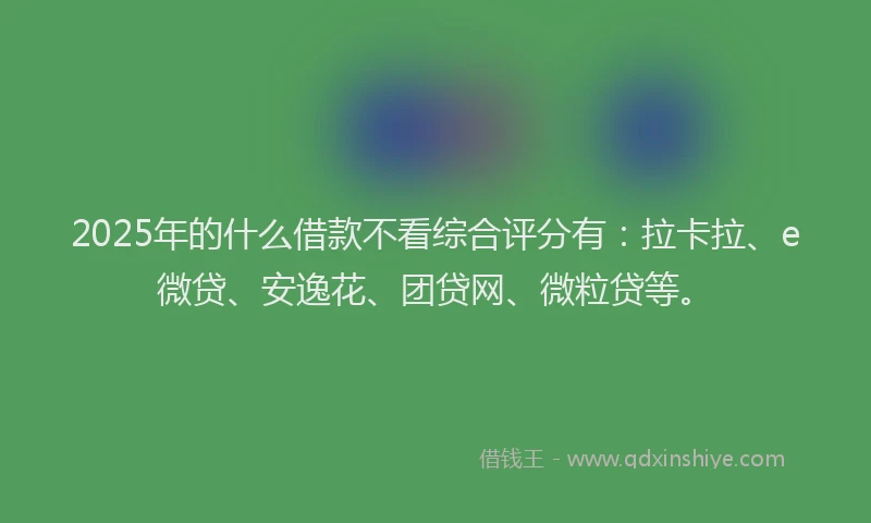 2025年的什么借款不看综合评分有：拉卡拉、e微贷、安逸花、团贷网、微粒贷等。