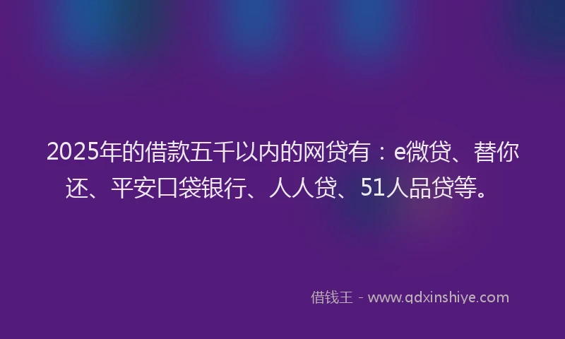 2025年的借款五千以内的网贷有：e微贷、替你还、平安口袋银行、人人贷、51人品贷等。