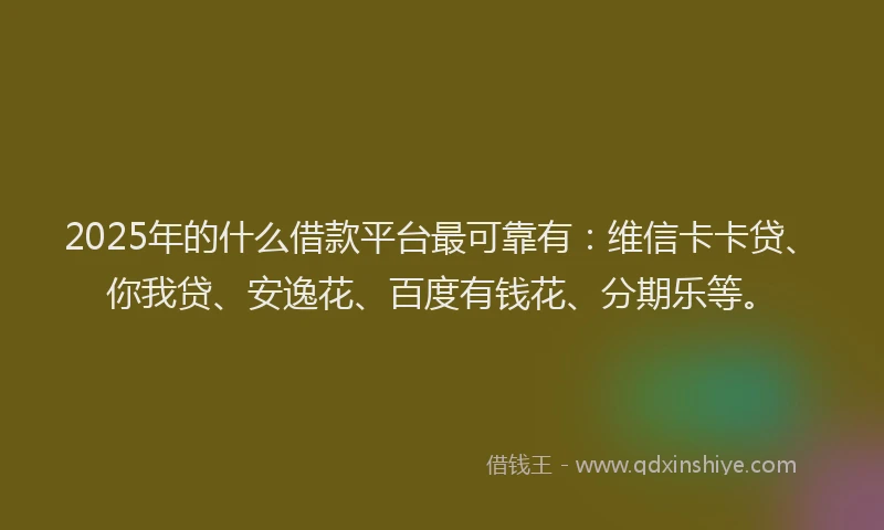 2025年的什么借款平台最可靠有：维信卡卡贷、你我贷、安逸花、百度有钱花、分期乐等。