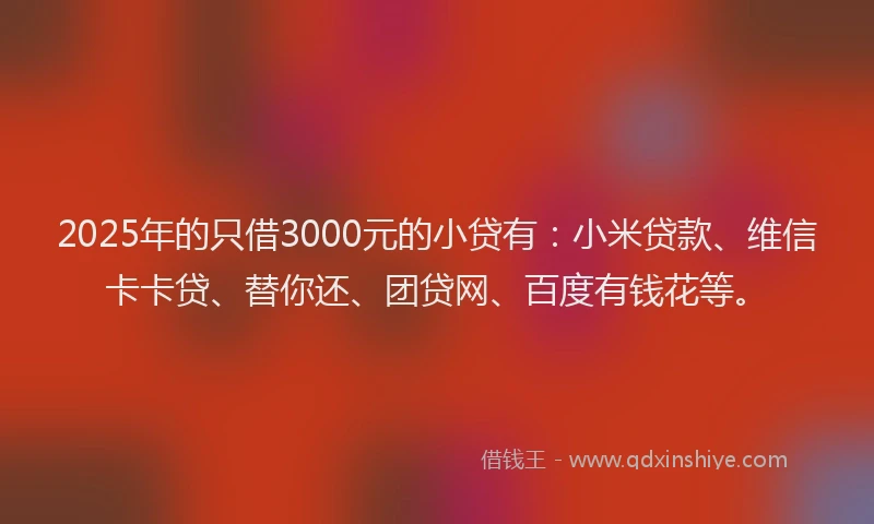 2025年的只借3000元的小贷有：小米贷款、维信卡卡贷、替你还、团贷网、百度有钱花等。
