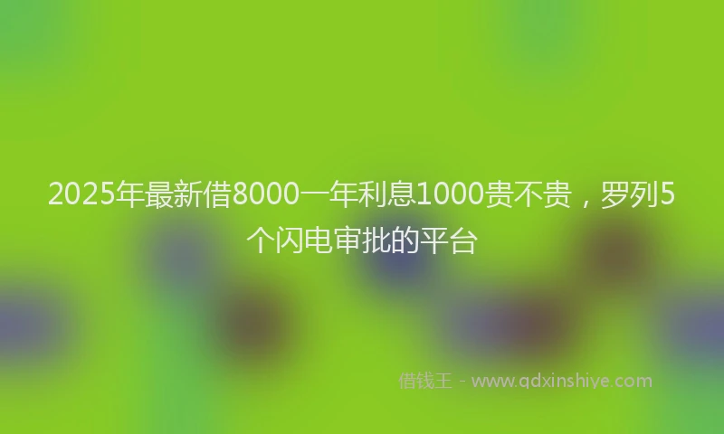 2025年最新借8000一年利息1000贵不贵，罗列5个闪电审批的平台