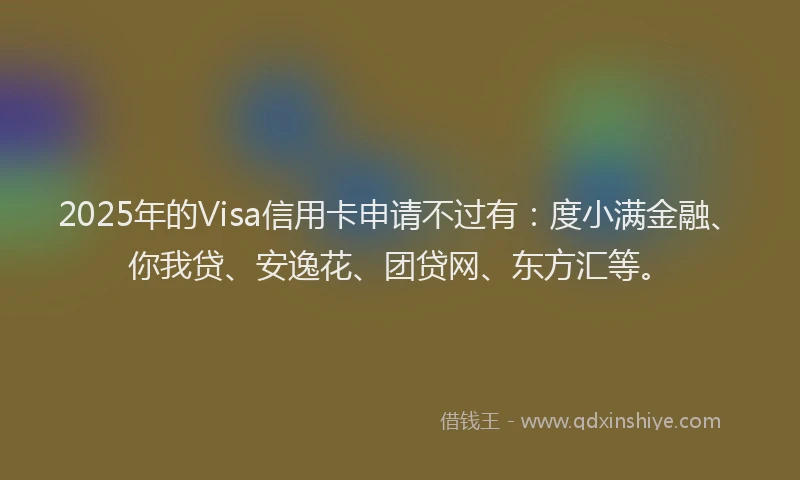 2025年的Visa信用卡申请不过有：度小满金融、你我贷、安逸花、团贷网、东方汇等。