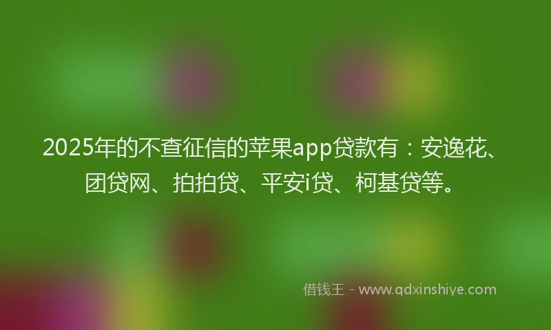 2025年的不查征信的苹果app贷款有：安逸花、团贷网、拍拍贷、平安i贷、柯基贷等。