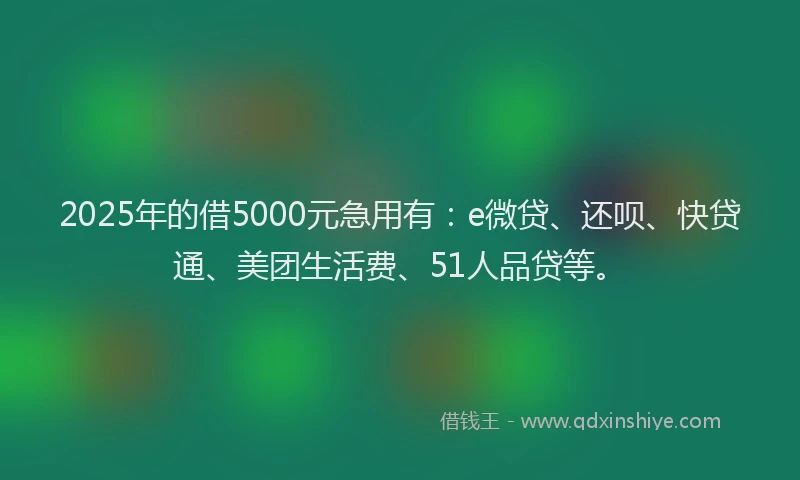2025年的借5000元急用有：e微贷、还呗、快贷通、美团生活费、51人品贷等。