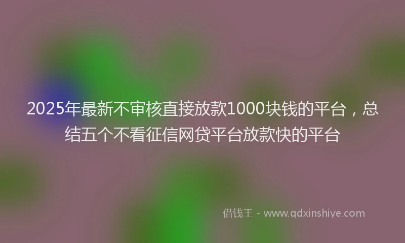 2025年最新不审核直接放款1000块钱的平台，总结五个不看征信网贷平台放款快的平台