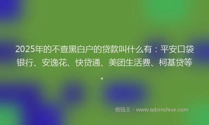 2025年的不查黑白户的贷款叫什么有：平安口袋银行、安逸花、快贷通、美团生活费、柯基贷等。