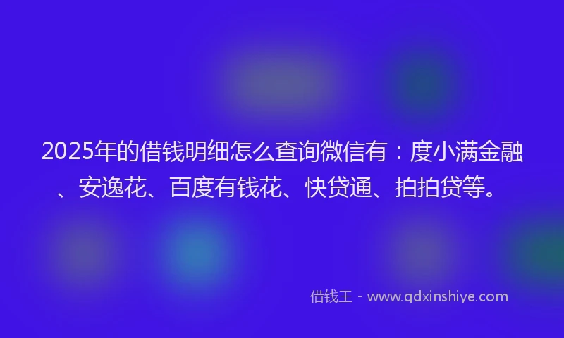 2025年的借钱明细怎么查询微信有：度小满金融、安逸花、百度有钱花、快贷通、拍拍贷等。
