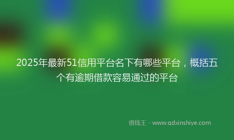 2025年最新51信用平台名下有哪些平台，概括五个有逾期借款容易通过的平台