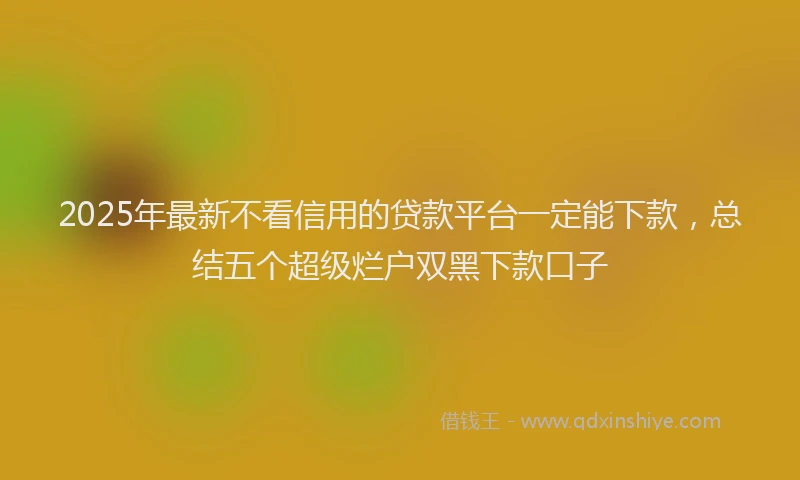 2025年最新不看信用的贷款平台一定能下款，总结五个超级烂户双黑下款口子