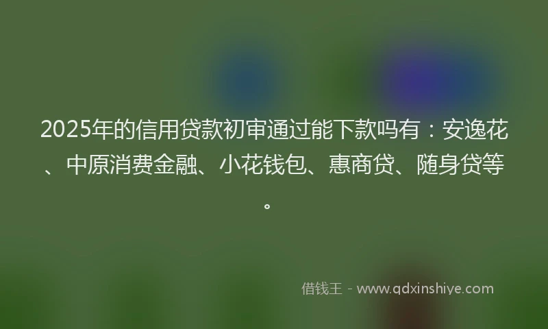 2025年的信用贷款初审通过能下款吗有：安逸花、中原消费金融、小花钱包、惠商贷、随身贷等。