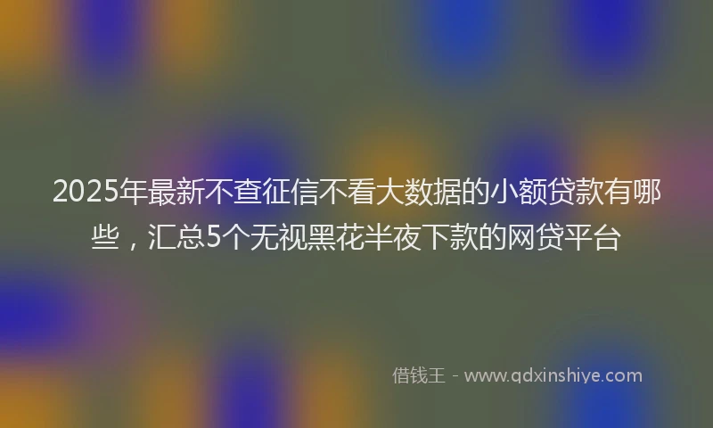 2025年最新不查征信不看大数据的小额贷款有哪些，汇总5个无视黑花半夜下款的网贷平台