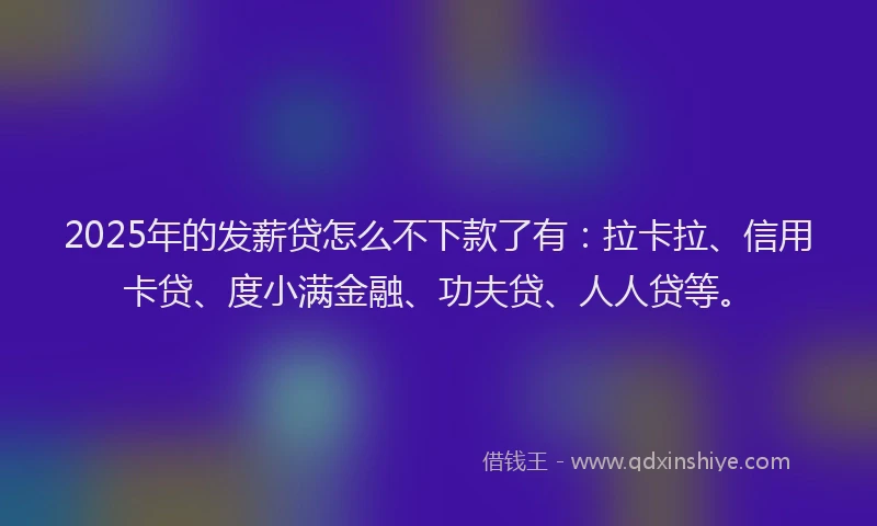 2025年的发薪贷怎么不下款了有：拉卡拉、信用卡贷、度小满金融、功夫贷、人人贷等。