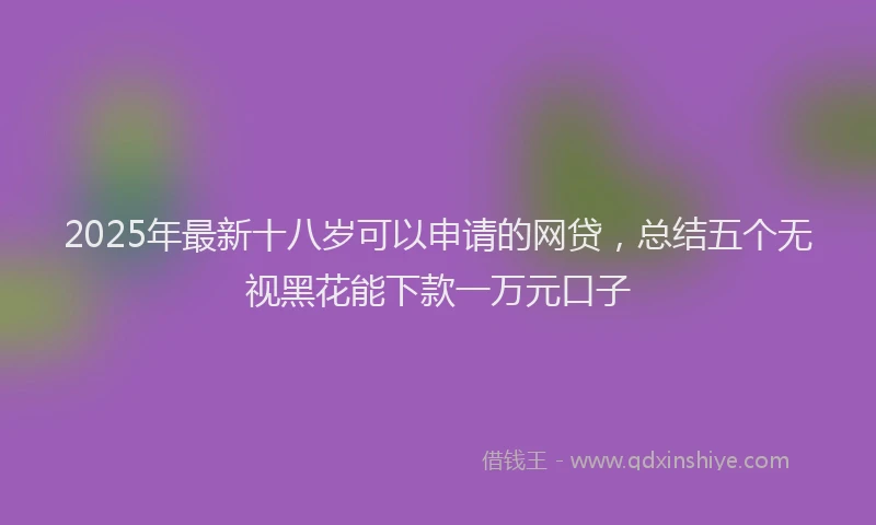 2025年最新十八岁可以申请的网贷，总结五个无视黑花能下款一万元口子