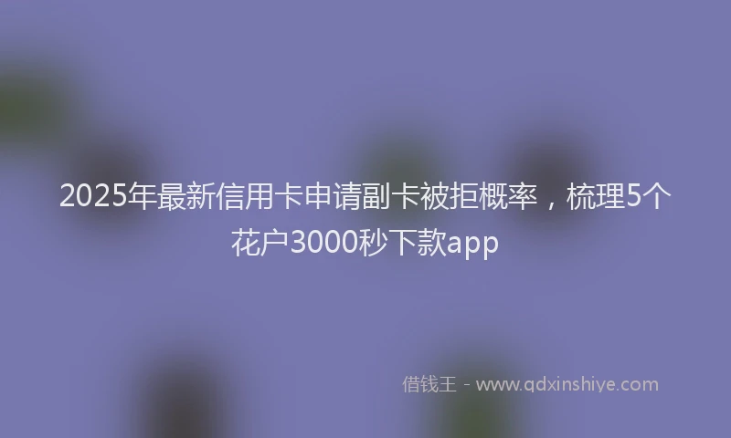 2025年最新信用卡申请副卡被拒概率，梳理5个花户3000秒下款app