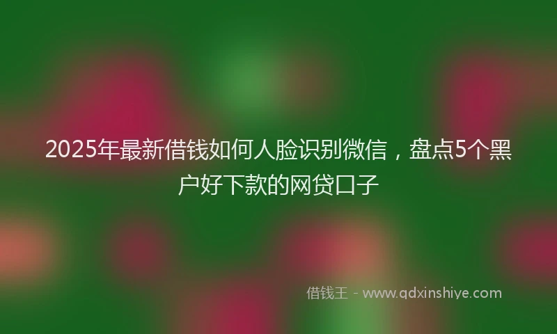 2025年最新借钱如何人脸识别微信，盘点5个黑户好下款的网贷口子
