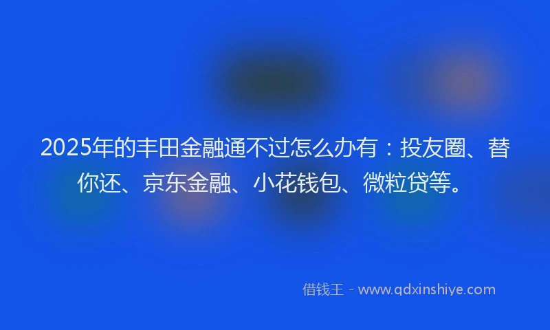2025年的丰田金融通不过怎么办有：投友圈、替你还、京东金融、小花钱包、微粒贷等。