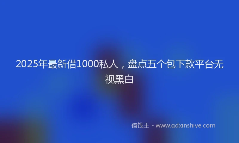 2025年最新借1000私人，盘点五个包下款平台无视黑白