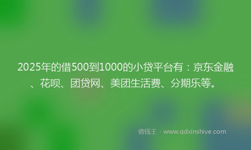 2025年的借500到1000的小贷平台有：京东金融、花呗、团贷网、美团生活费、分期乐等。