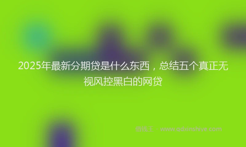 2025年最新分期贷是什么东西，总结五个真正无视风控黑白的网贷