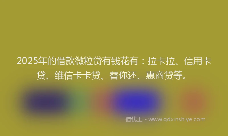 2025年的借款微粒贷有钱花有：拉卡拉、信用卡贷、维信卡卡贷、替你还、惠商贷等。