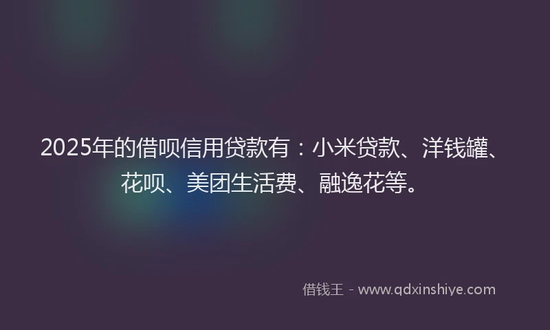 2025年的借呗信用贷款有：小米贷款、洋钱罐、花呗、美团生活费、融逸花等。