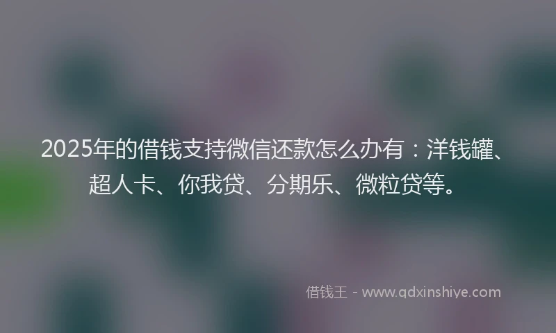 2025年的借钱支持微信还款怎么办有：洋钱罐、超人卡、你我贷、分期乐、微粒贷等。