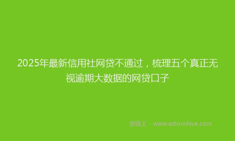 2025年最新信用社网贷不通过，梳理五个真正无视逾期大数据的网贷口子