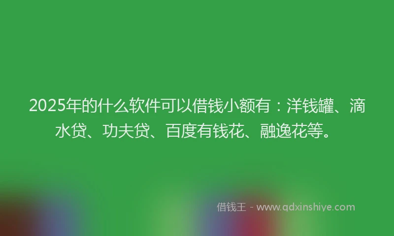 2025年的什么软件可以借钱小额有：洋钱罐、滴水贷、功夫贷、百度有钱花、融逸花等。