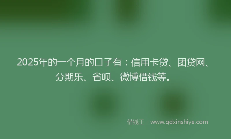 2025年的一个月的口子有：信用卡贷、团贷网、分期乐、省呗、微博借钱等。