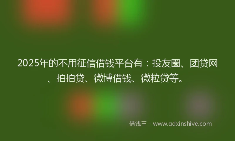 2025年的不用征信借钱平台有：投友圈、团贷网、拍拍贷、微博借钱、微粒贷等。