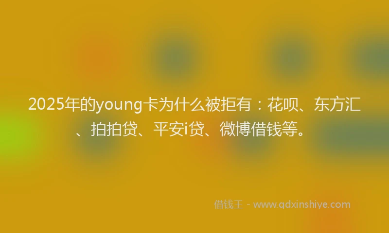 2025年的young卡为什么被拒有：花呗、东方汇、拍拍贷、平安i贷、微博借钱等。
