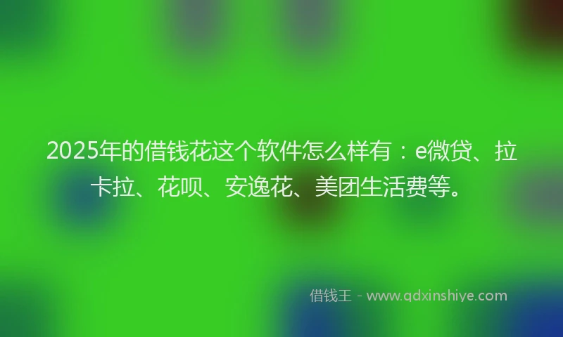 2025年的借钱花这个软件怎么样有：e微贷、拉卡拉、花呗、安逸花、美团生活费等。