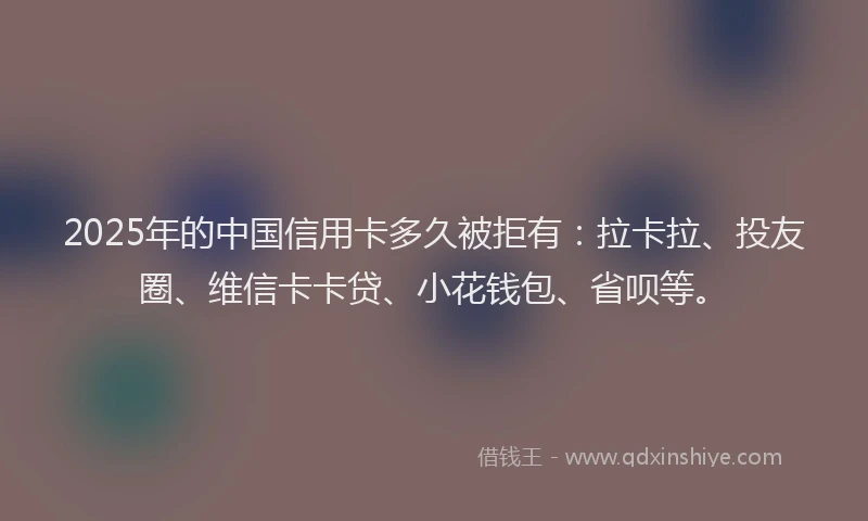 2025年的中国信用卡多久被拒有：拉卡拉、投友圈、维信卡卡贷、小花钱包、省呗等。