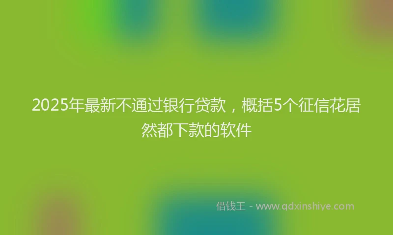 2025年最新不通过银行贷款，概括5个征信花居然都下款的软件