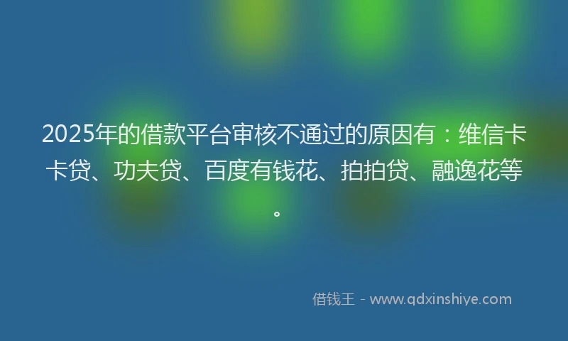 2025年的借款平台审核不通过的原因有：维信卡卡贷、功夫贷、百度有钱花、拍拍贷、融逸花等。