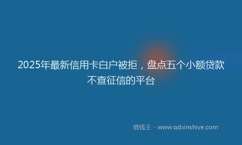 2025年最新信用卡白户被拒，盘点五个小额贷款不查征信的平台