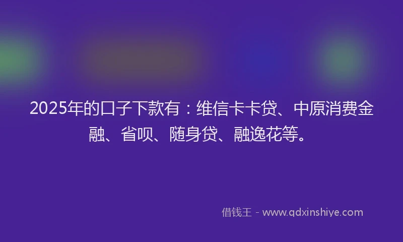 2025年的口子下款有：维信卡卡贷、中原消费金融、省呗、随身贷、融逸花等。